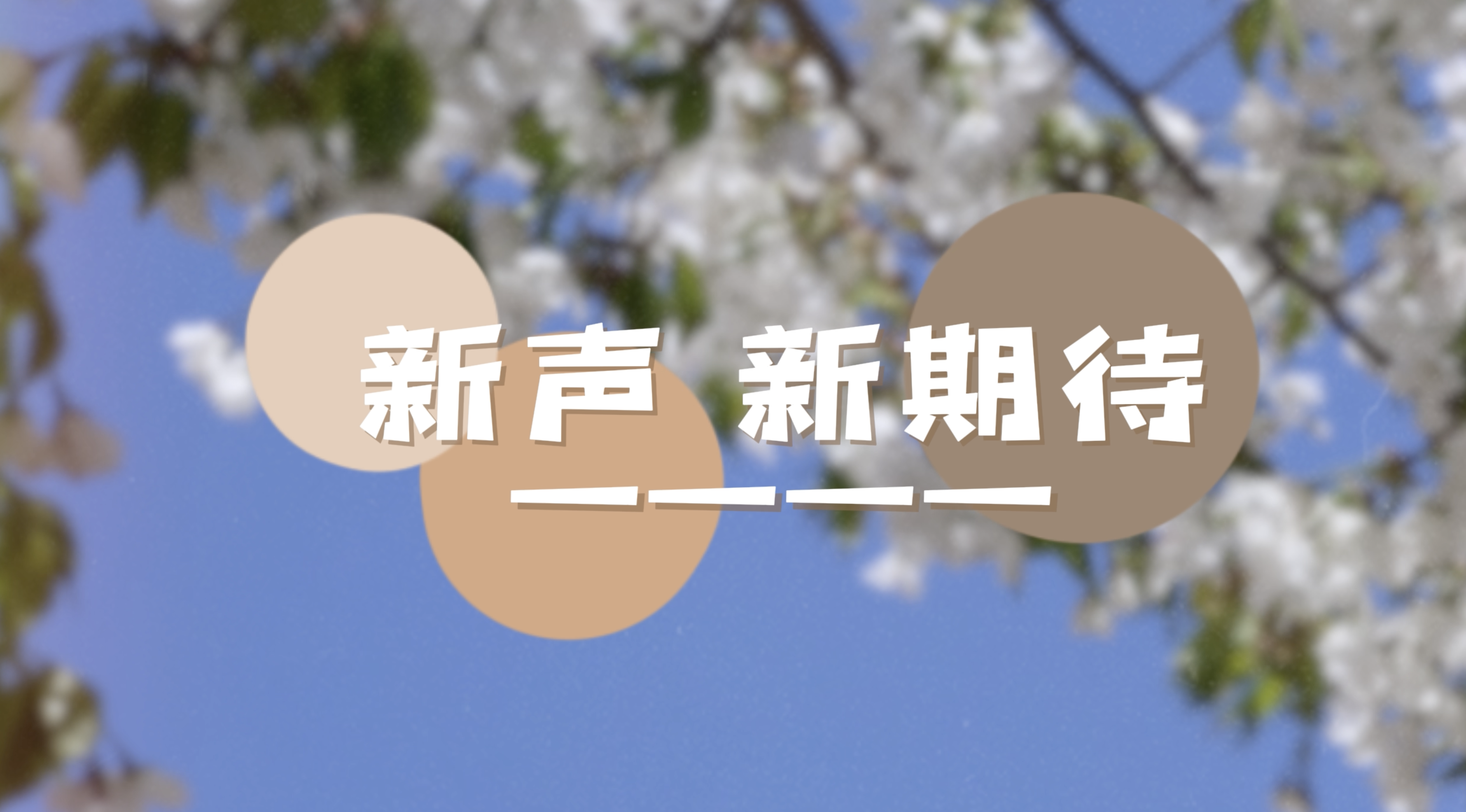 新声，新期待